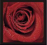 Верзалитови плотове за заведения