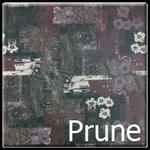 Плотът на Вашата маса в кафенето